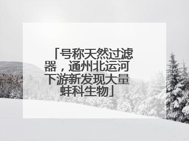 号称天然过滤器，通州北运河下游新发现大量蚌科生物