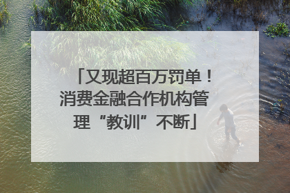 又现超百万罚单！消费金融合作机构管理“教训”不断