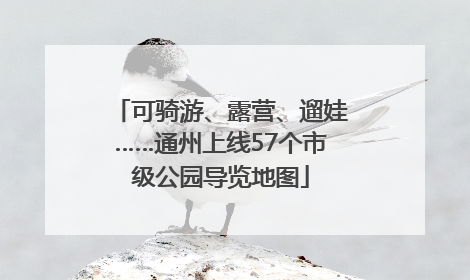 可骑游、露营、遛娃……通州上线57个市级公园导览地图