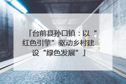 台前县孙口镇：以“红色引擎”驱动乡村建设“绿色发展”