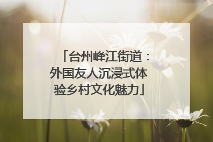 台州峰江街道：外国友人沉浸式体验乡村文化魅力