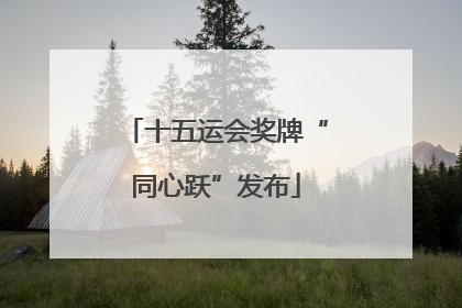 十五运会奖牌“同心跃”发布