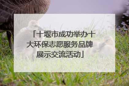 十堰市成功举办十大环保志愿服务品牌展示交流活动