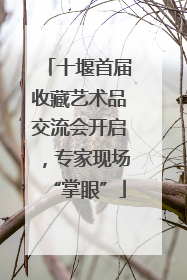 十堰首届收藏艺术品交流会开启，专家现场“掌眼”