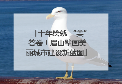 十年绘就 “美” 答卷！眉山擘画美丽城市建设新蓝图
