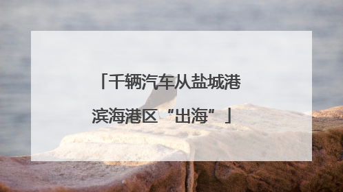 千辆汽车从盐城港滨海港区“出海”