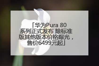 华为Pura 80系列正式发布 除标准版其他版本价格曝光，售价6499元起