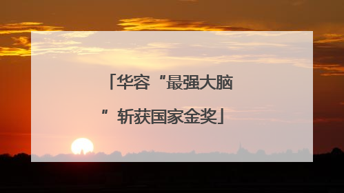华容“最强大脑”斩获国家金奖