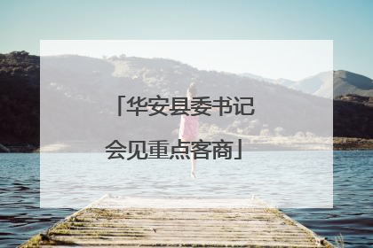 华安县委书记会见重点客商