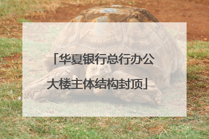 华夏银行总行办公大楼主体结构封顶