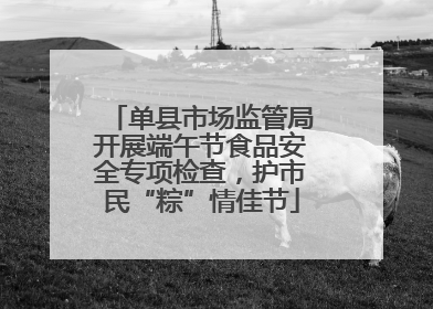 单县市场监管局开展端午节食品安全专项检查，护市民“粽”情佳节