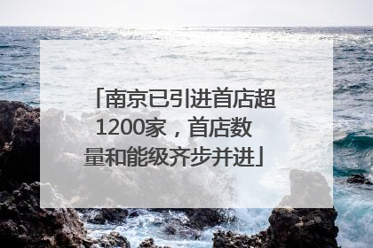 南京已引进首店超1200家，首店数量和能级齐步并进