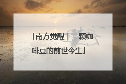 南方觉醒｜一颗咖啡豆的前世今生
