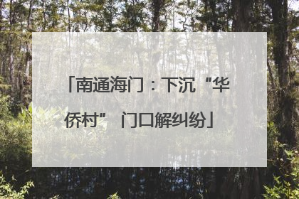 南通海门：下沉“华侨村” 门口解纠纷