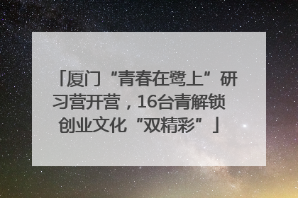 厦门“青春在鹭上”研习营开营，16台青解锁创业文化“双精彩”