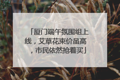 厦门端午氛围组上线，艾草花束价虽高，市民依然抢着买