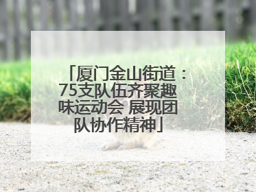 厦门金山街道：75支队伍齐聚趣味运动会 展现团队协作精神