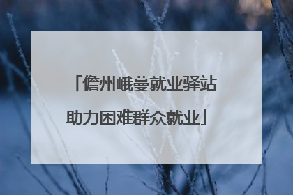 儋州峨蔓就业驿站助力困难群众就业