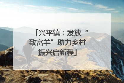 兴平镇：发放“致富羊”助力乡村振兴启新程