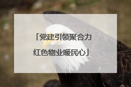 党建引领聚合力 红色物业暖民心