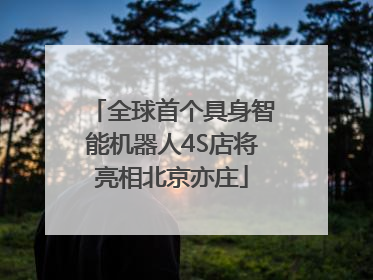 全球首个具身智能机器人4S店将亮相北京亦庄