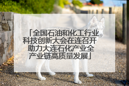 全国石油和化工行业科技创新大会在连召开 助力大连石化产业全产业链高质量发展
