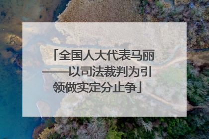 全国人大代表马丽——以司法裁判为引领做实定分止争