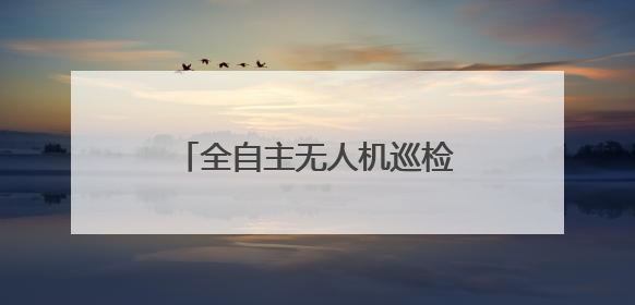 全自主无人机巡检系统首次亮相夷陵