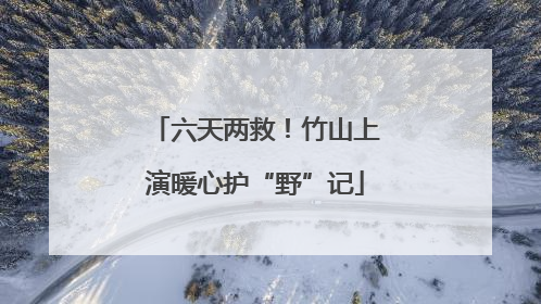 六天两救！竹山上演暖心护“野”记
