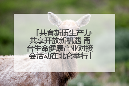 共育新质生产力·共享开放新机遇 甬台生命健康产业对接会活动在北仑举行