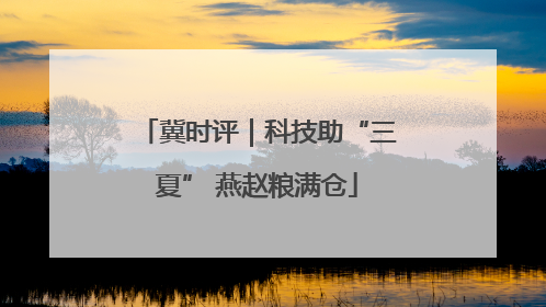 冀时评｜科技助“三夏” 燕赵粮满仓