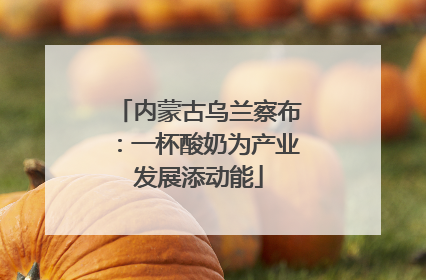 内蒙古乌兰察布：一杯酸奶为产业发展添动能
