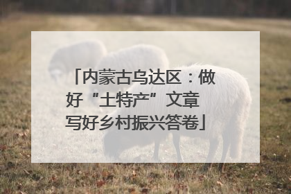 内蒙古乌达区：做好“土特产”文章 写好乡村振兴答卷