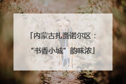 内蒙古扎赉诺尔区：“书香小城”韵味浓