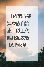 内蒙古鄂温克族自治旗：以工代赈托起农牧民增收梦
