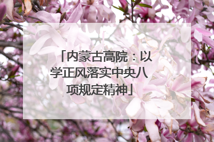 内蒙古高院：以学正风落实中央八项规定精神