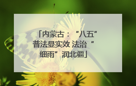 内蒙古：“八五”普法显实效 法治“细雨”润北疆