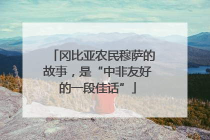 冈比亚农民穆萨的故事，是“中非友好的一段佳话”