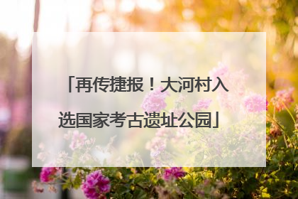 再传捷报！大河村入选国家考古遗址公园