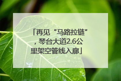 再见“马路拉链”，琴台大道2.6公里架空管线入廊