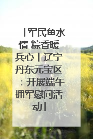 军民鱼水情 粽香暖兵心丨辽宁丹东元宝区：开展端午拥军慰问活动