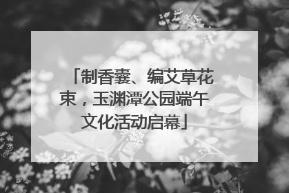 制香囊、编艾草花束，玉渊潭公园端午文化活动启幕