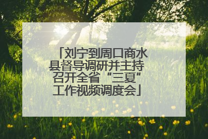 刘宁到周口商水县督导调研并主持召开全省“三夏”工作视频调度会