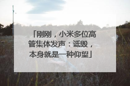 刚刚，小米多位高管集体发声：诋毁，本身就是一种仰望