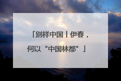 别样中国丨伊春，何以“中国林都”