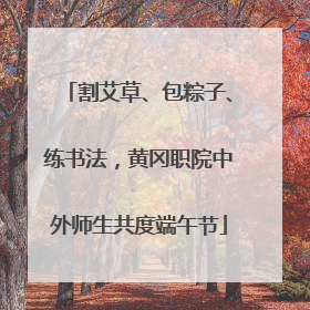 割艾草、包粽子、练书法，黄冈职院中外师生共度端午节