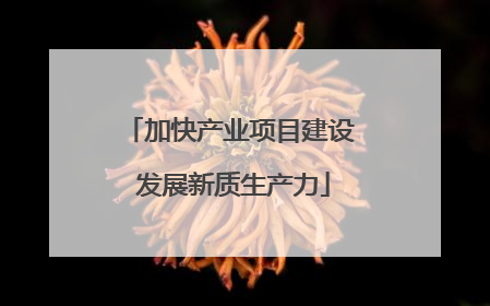 加快产业项目建设 发展新质生产力