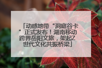 动感地带“洞庭谷卡”正式发布！湖南移动跨界岳阳文旅，架起Z世代文化共振桥梁