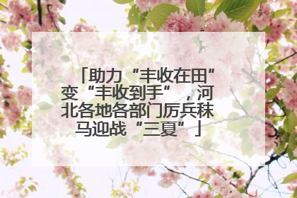 助力“丰收在田”变“丰收到手”，河北各地各部门厉兵秣马迎战“三夏”