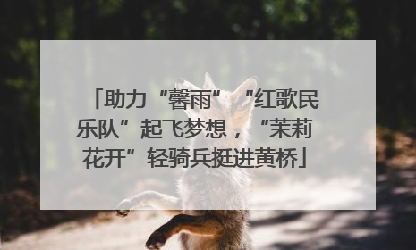 助力“馨雨”“红歌民乐队”起飞梦想，“茉莉花开”轻骑兵挺进黄桥
